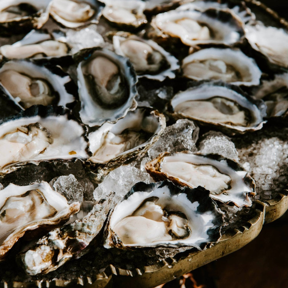 Pacific Oysters